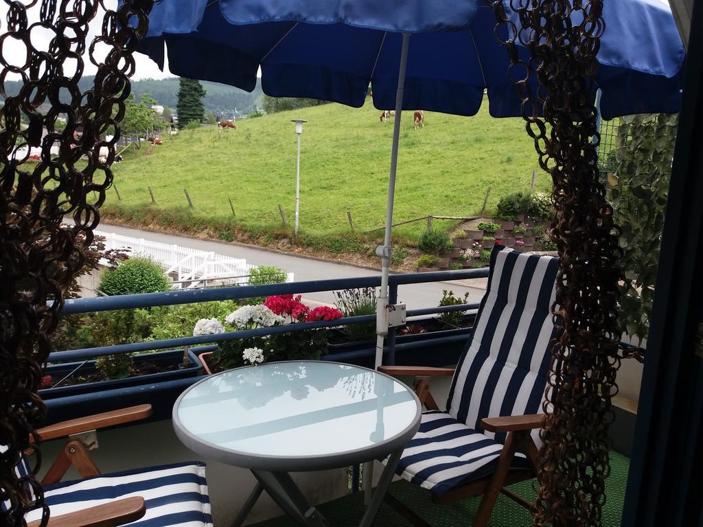 Haus Elsholz Willingen Apartment Willingen  Ngoại thất bức ảnh