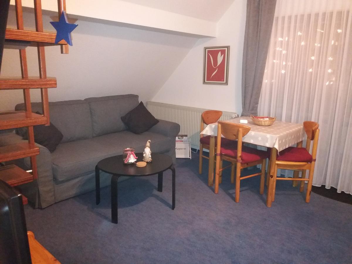 Haus Elsholz Willingen Apartment Willingen  Ngoại thất bức ảnh